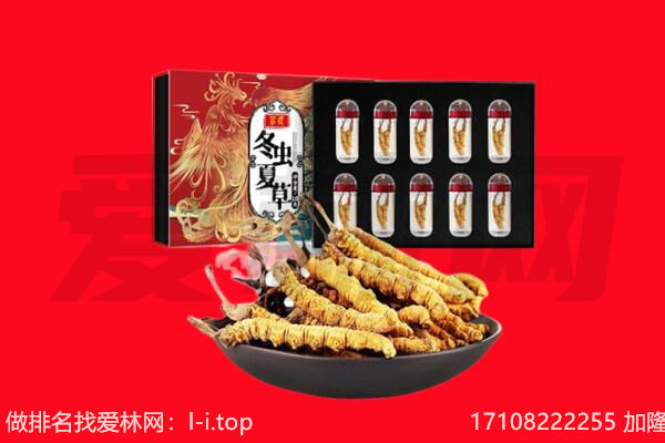 朔州应县回收虫草.jpg
